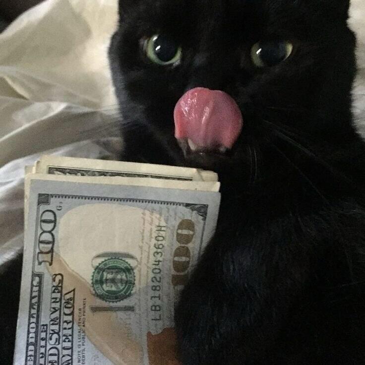 monryt