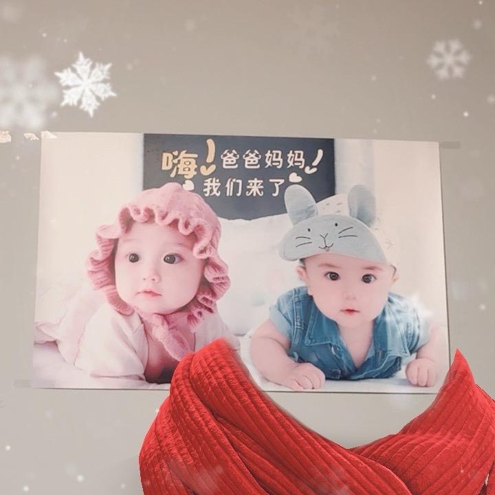 凤栖梧桐