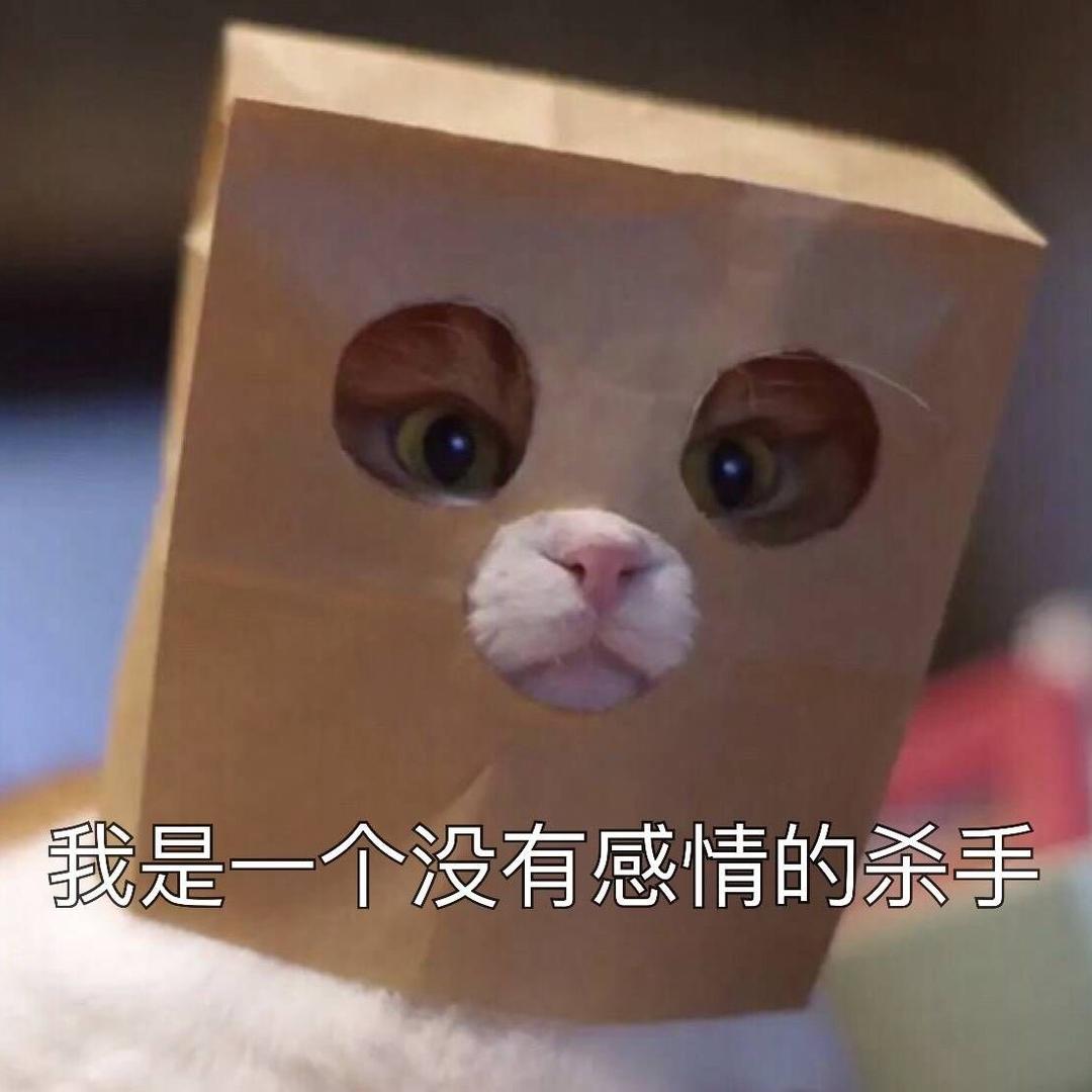 睿睿大魔王QAQ