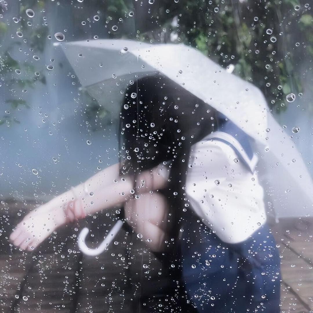 狸