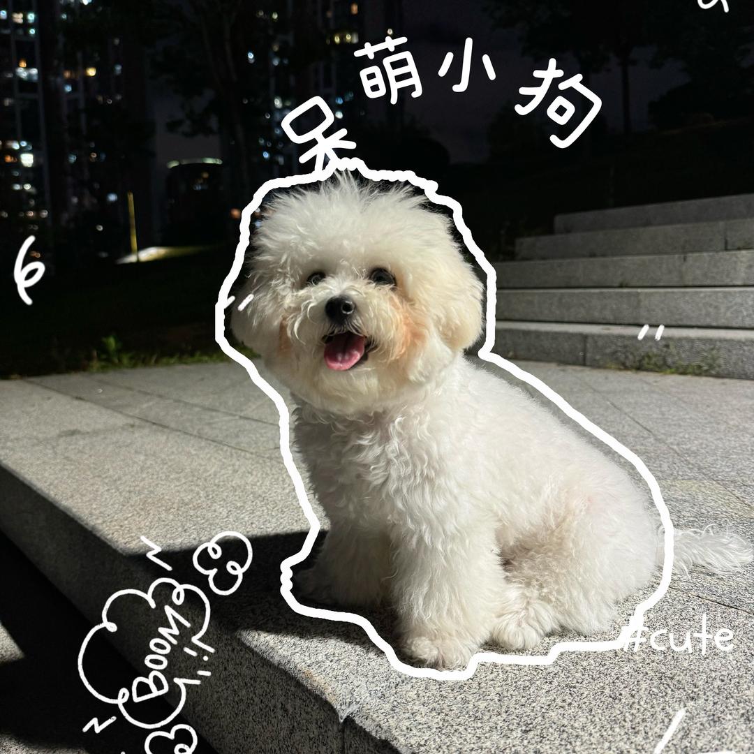 小GT的快乐日常