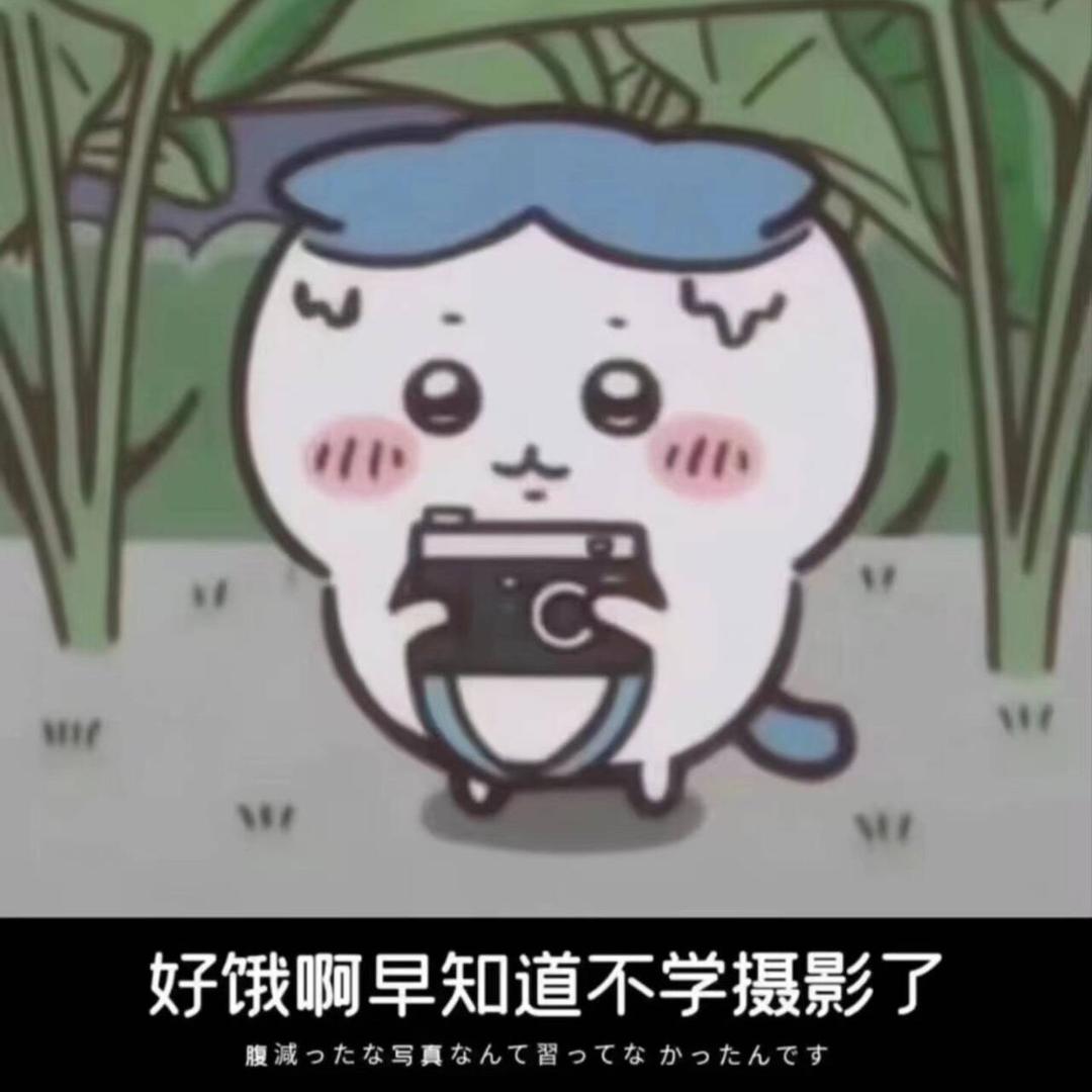 金汐是条咸鱼