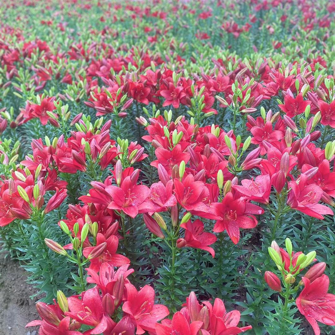 园园五金工具店