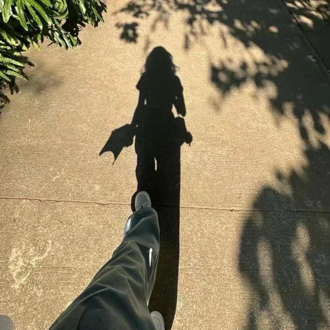 🍃大静🦌