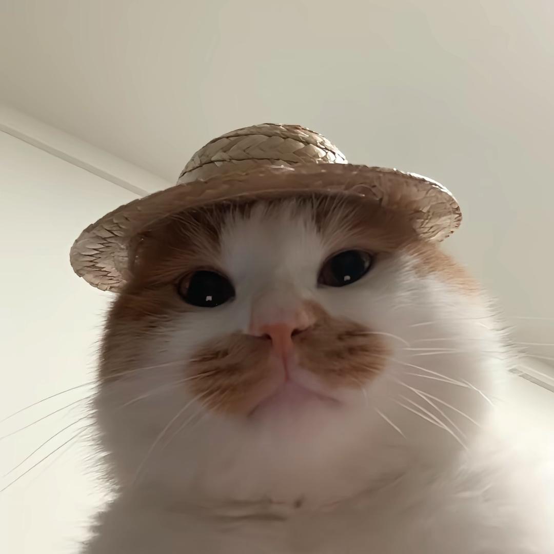 芸宝