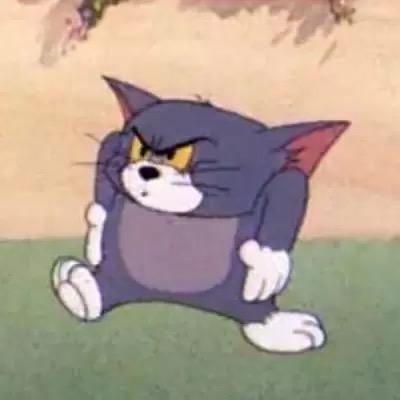 怀疑sam是虚拟的脸