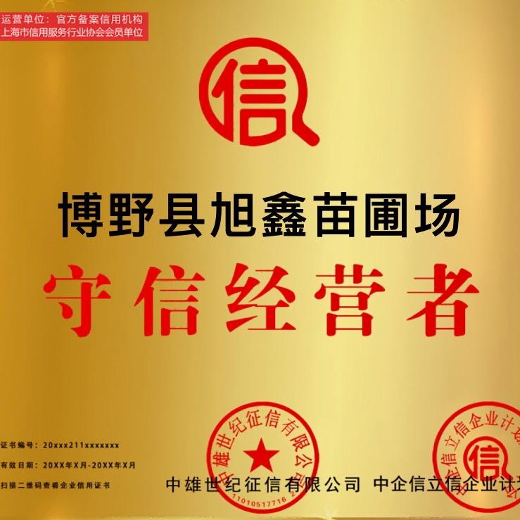 旭鑫苗圃场—专业种植柳树