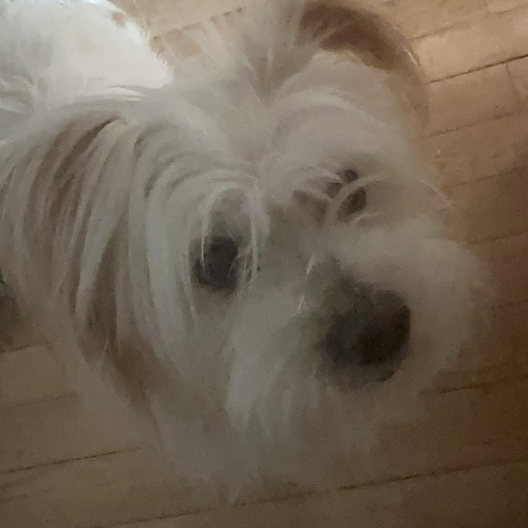 Moº