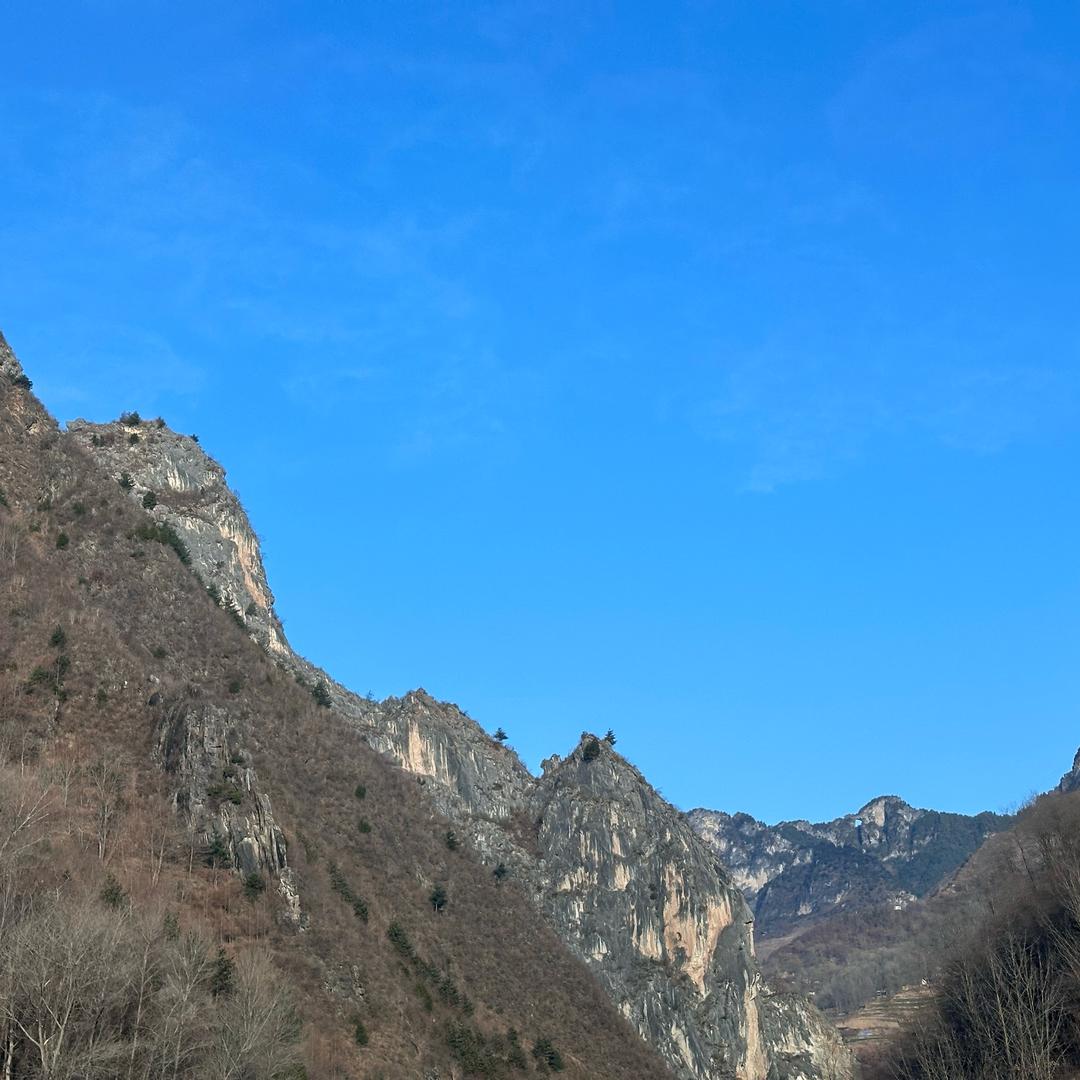 马律