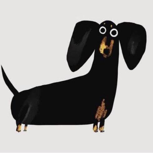 小腊肠🐶