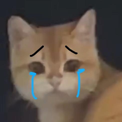 凉拌黄瓜炒鸡蛋小狗