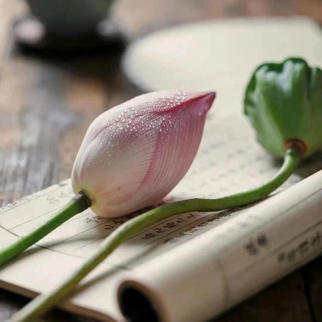 七弦古调｜新中式女装