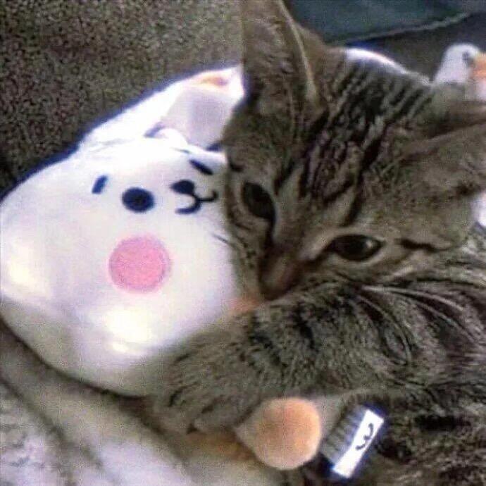 把你揉碎捏成苹果