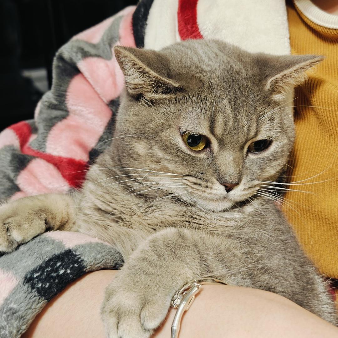 昔娈的小殿下🐱（置顶🎁）