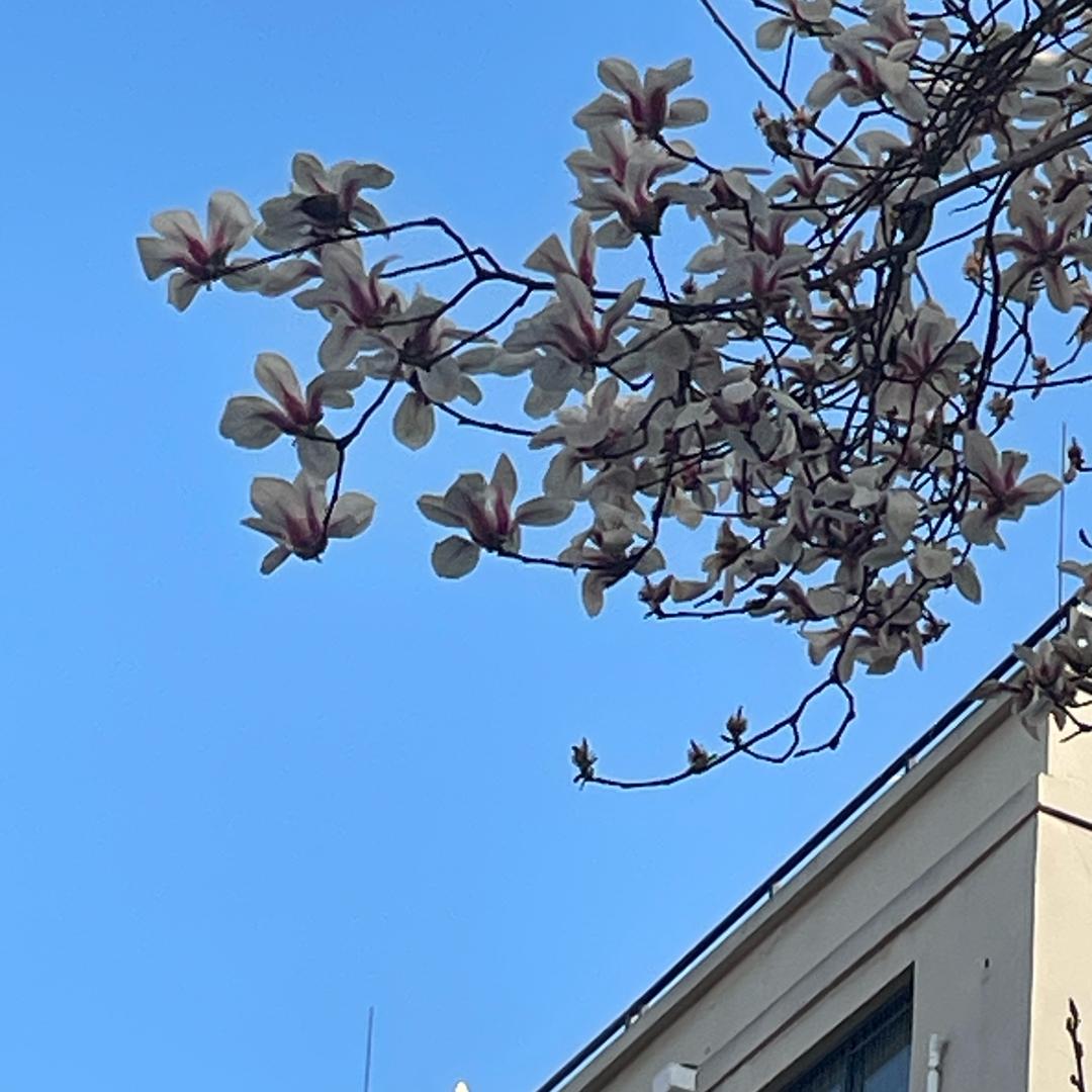 小鱼的🏠（硬装中）