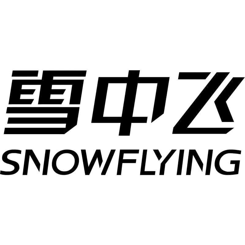 雪中飞童装.