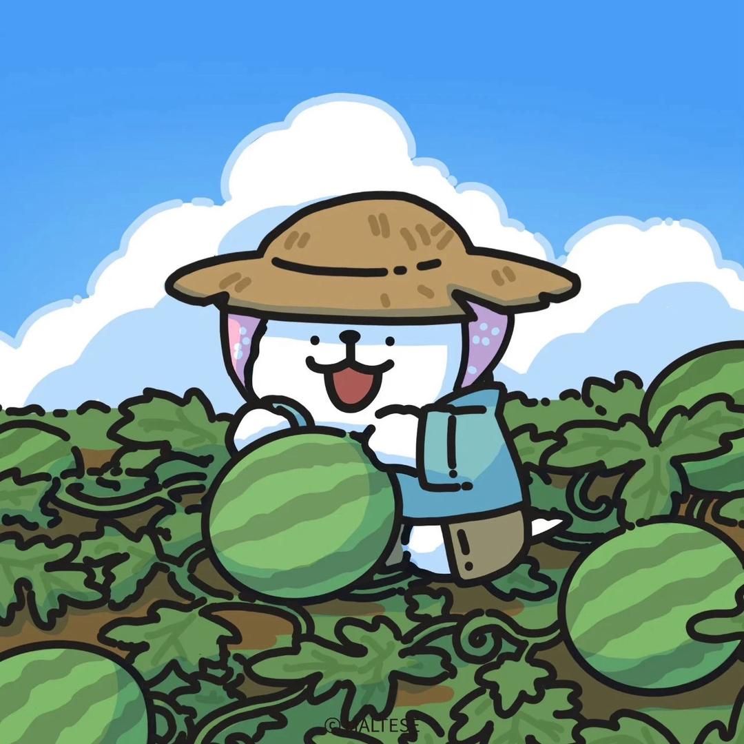 无敌喵喵咪咪