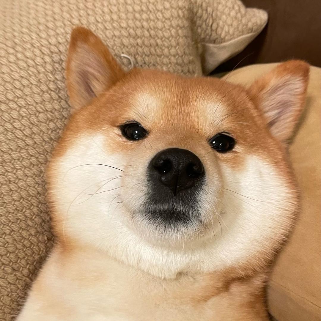 cciku