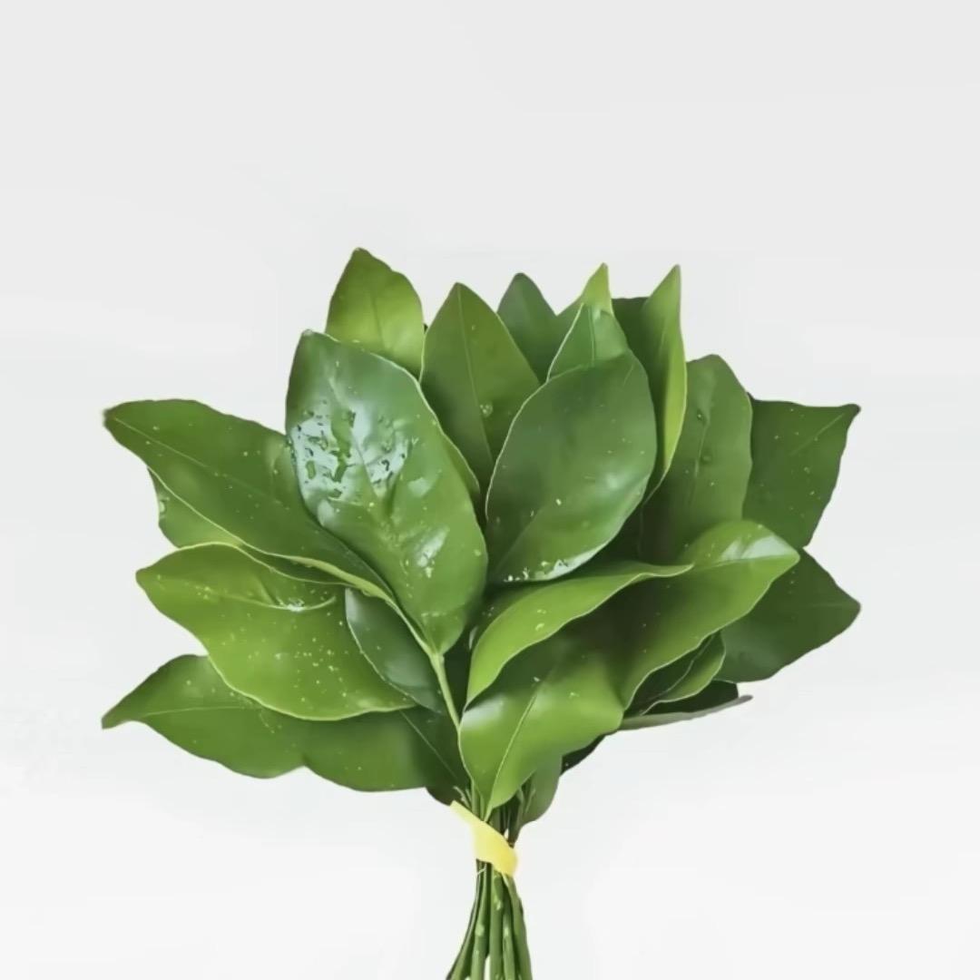 粥粥（没见过en版）