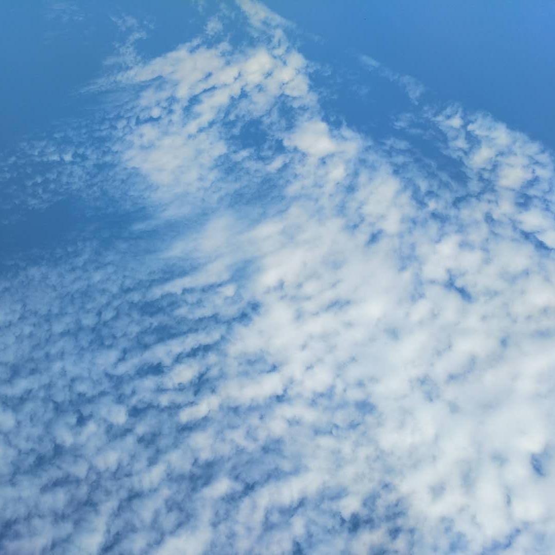 🌈王帽圈垂钓园