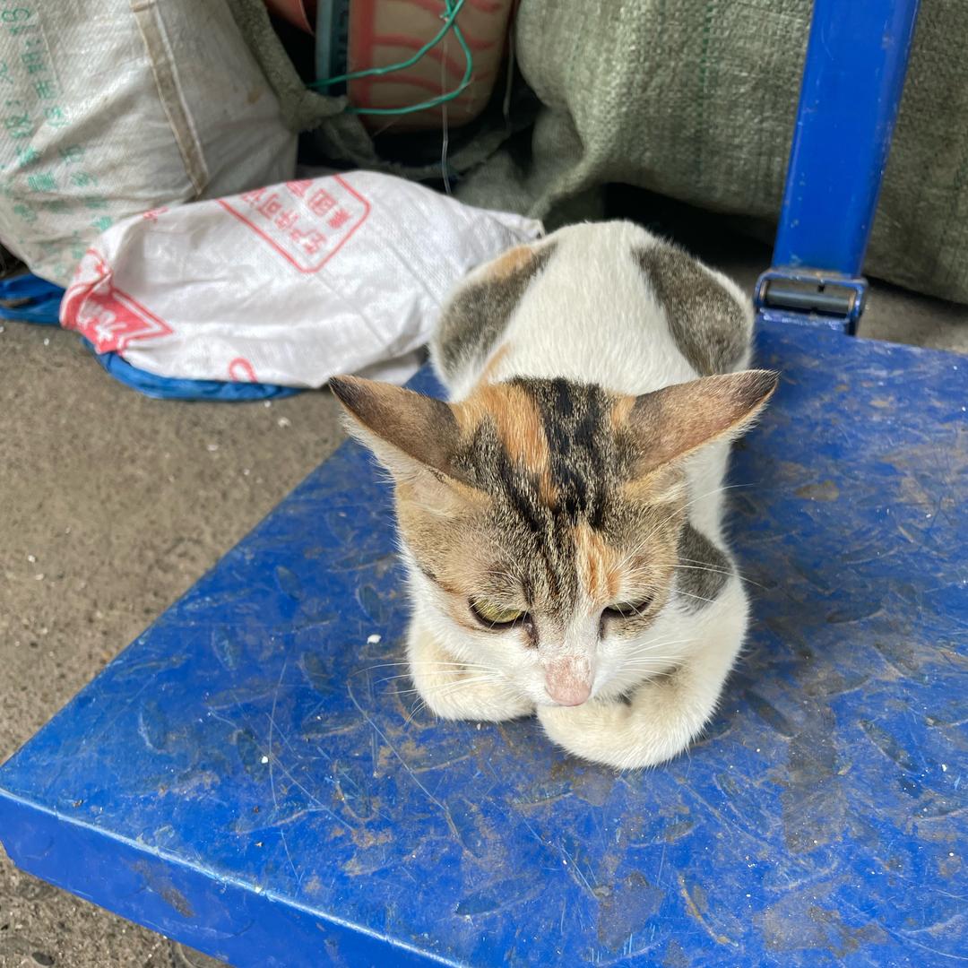 🍁🍁🌻🌻@3姐🌺🌺