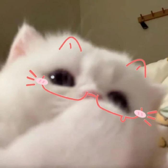 莓莓桑葚