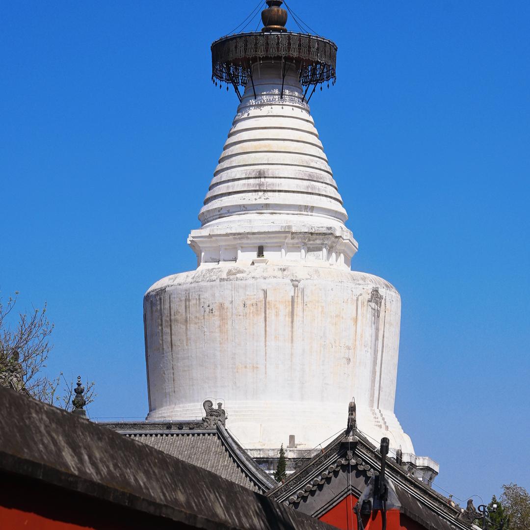 寒武纪101