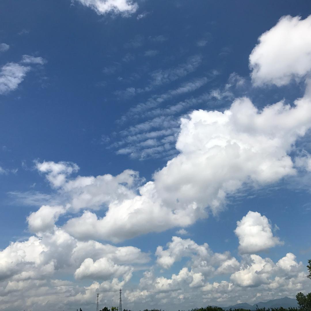 阳光下的泡沫🫧