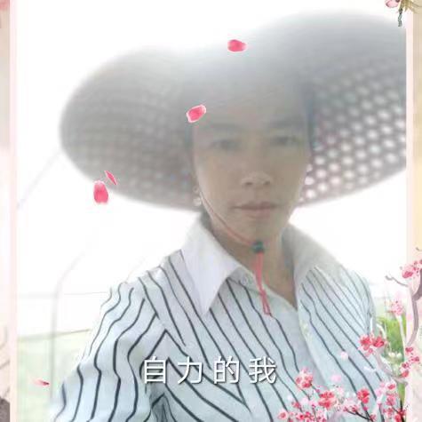 乡村满意农家王海英407578