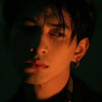 爱潜水的乌贼🦑