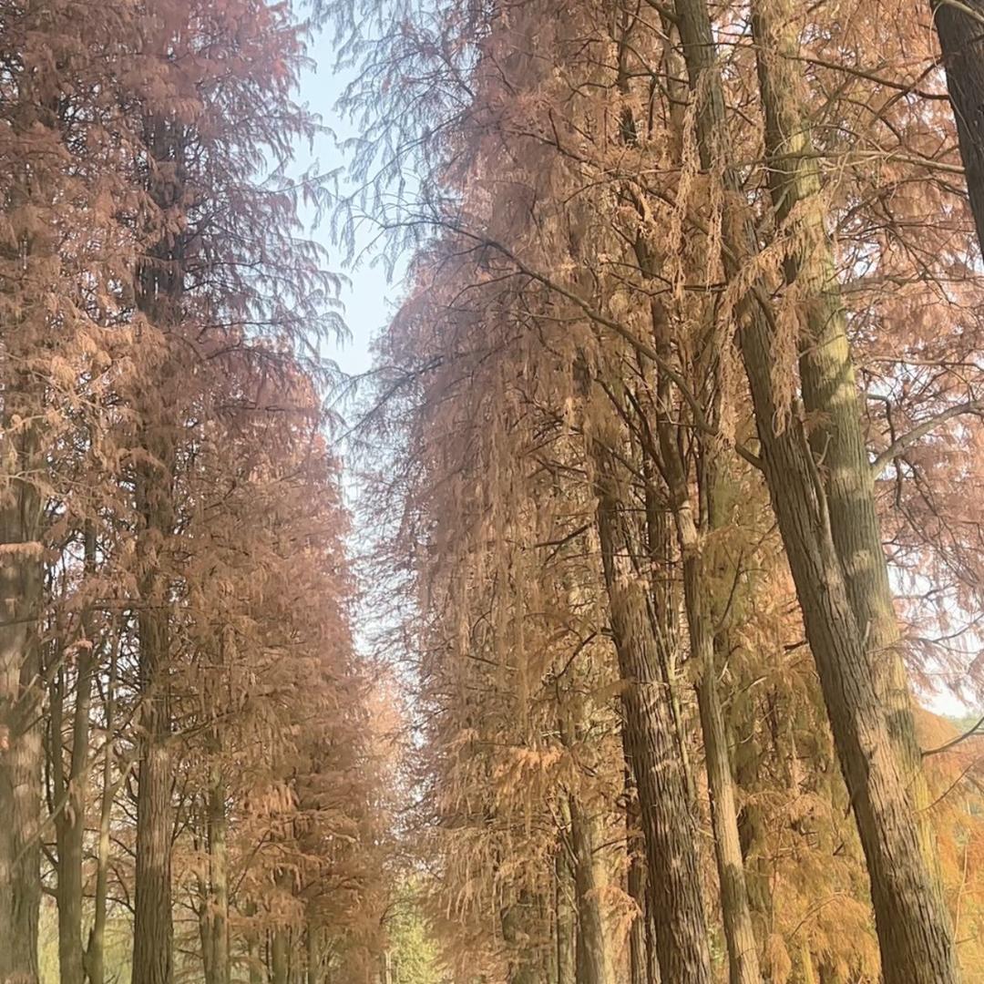 ృ༊七秒記憶♡