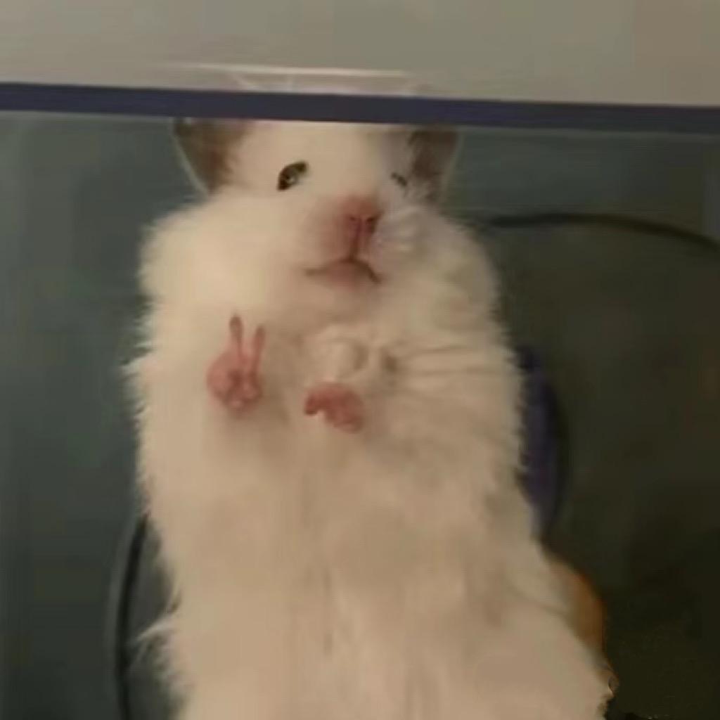 飖