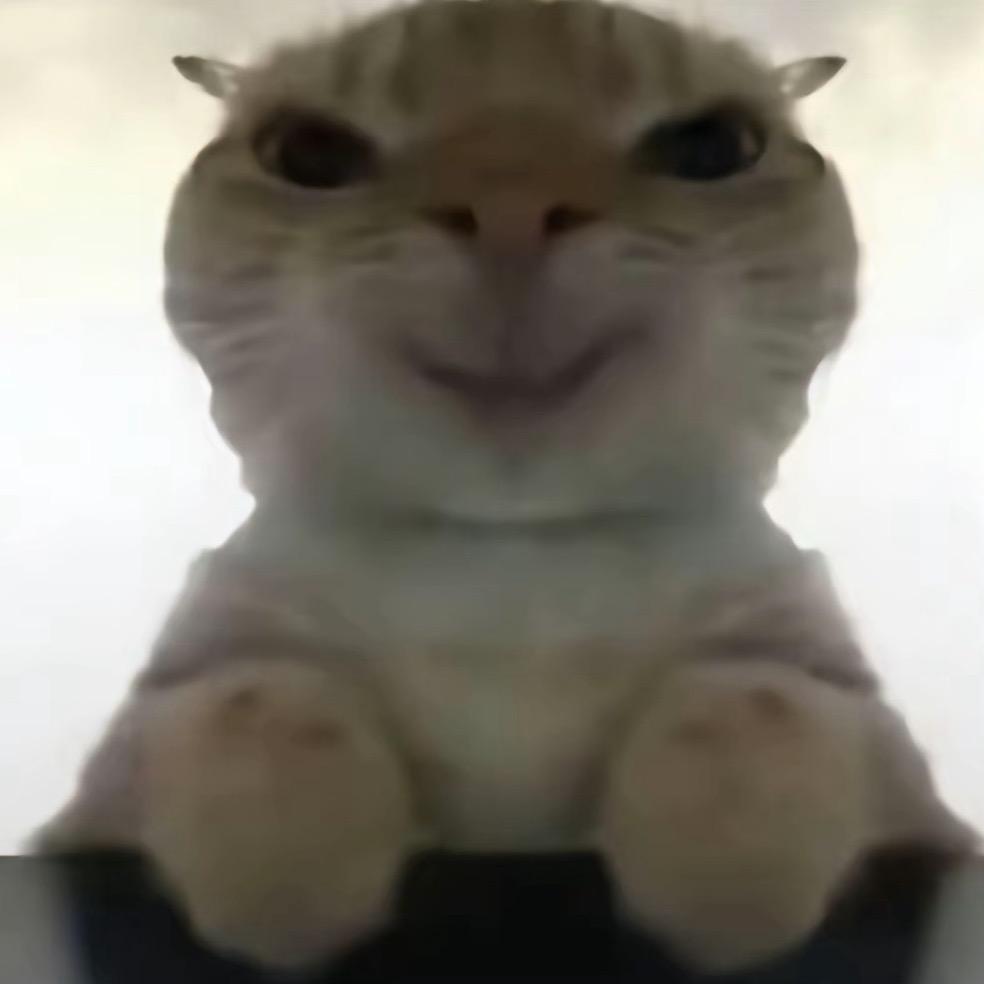 珩