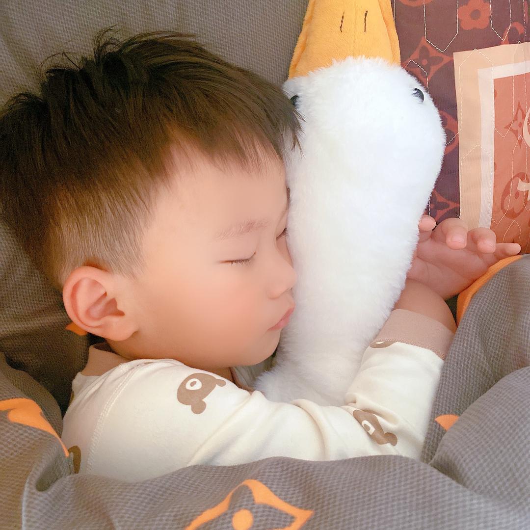 💕Nan Bao
