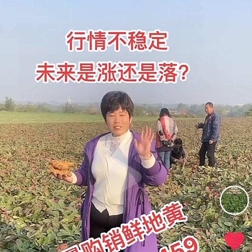 山西杰丰农业