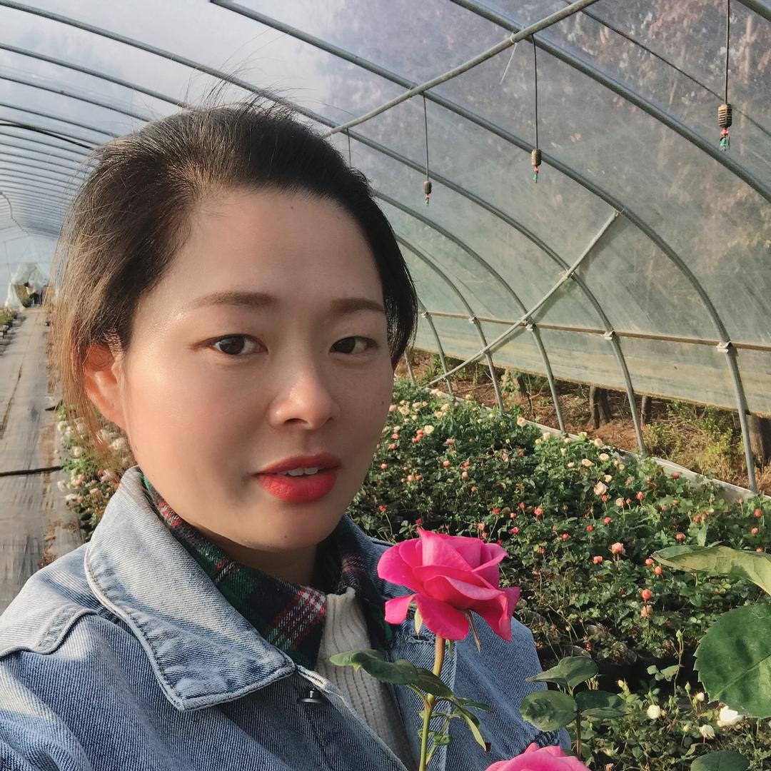 花仟古绿植花卉盆栽