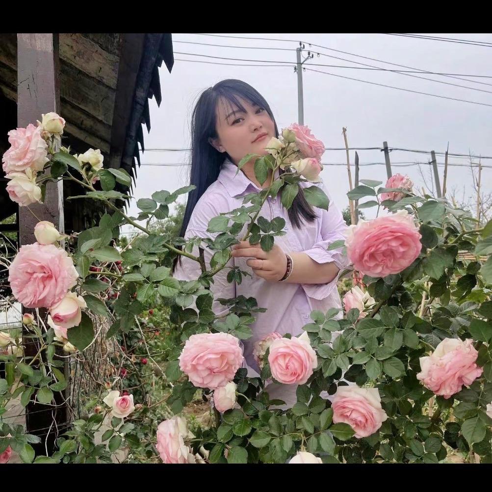 满目星辰🔆🌈🎡