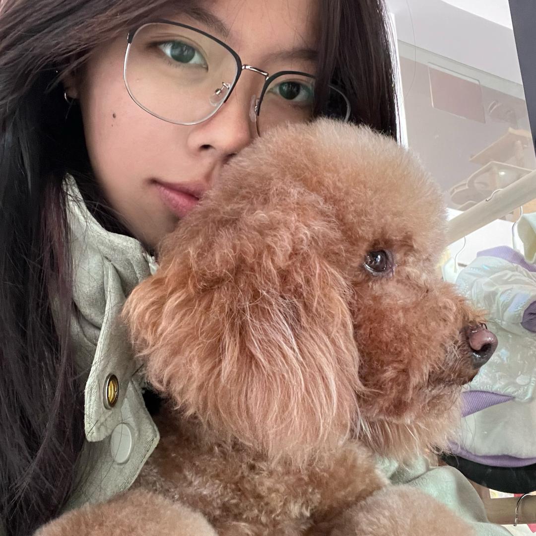 我是一只快乐的小花猫