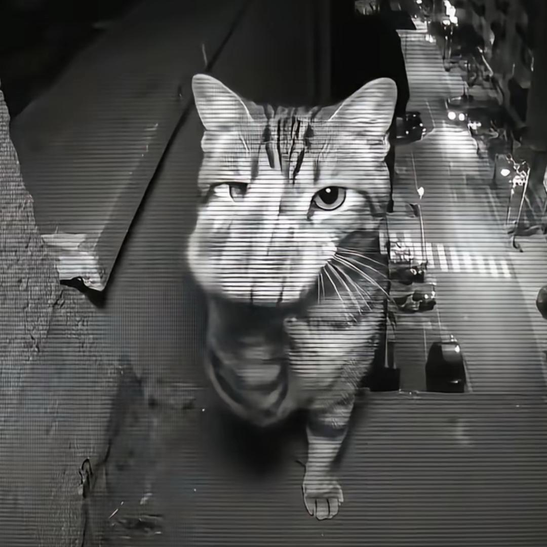 听晚风说完