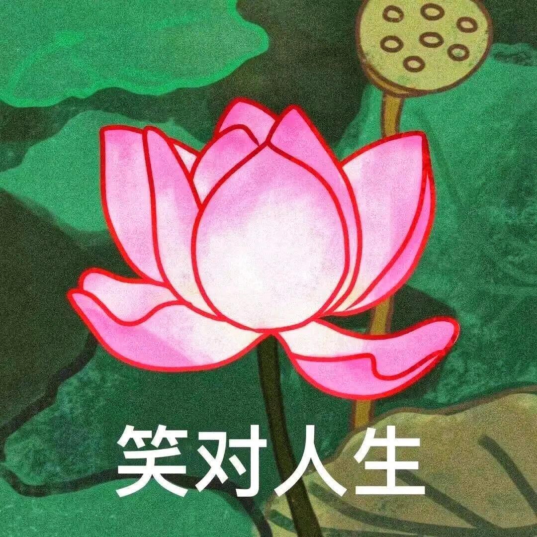 东野明托的西兰花