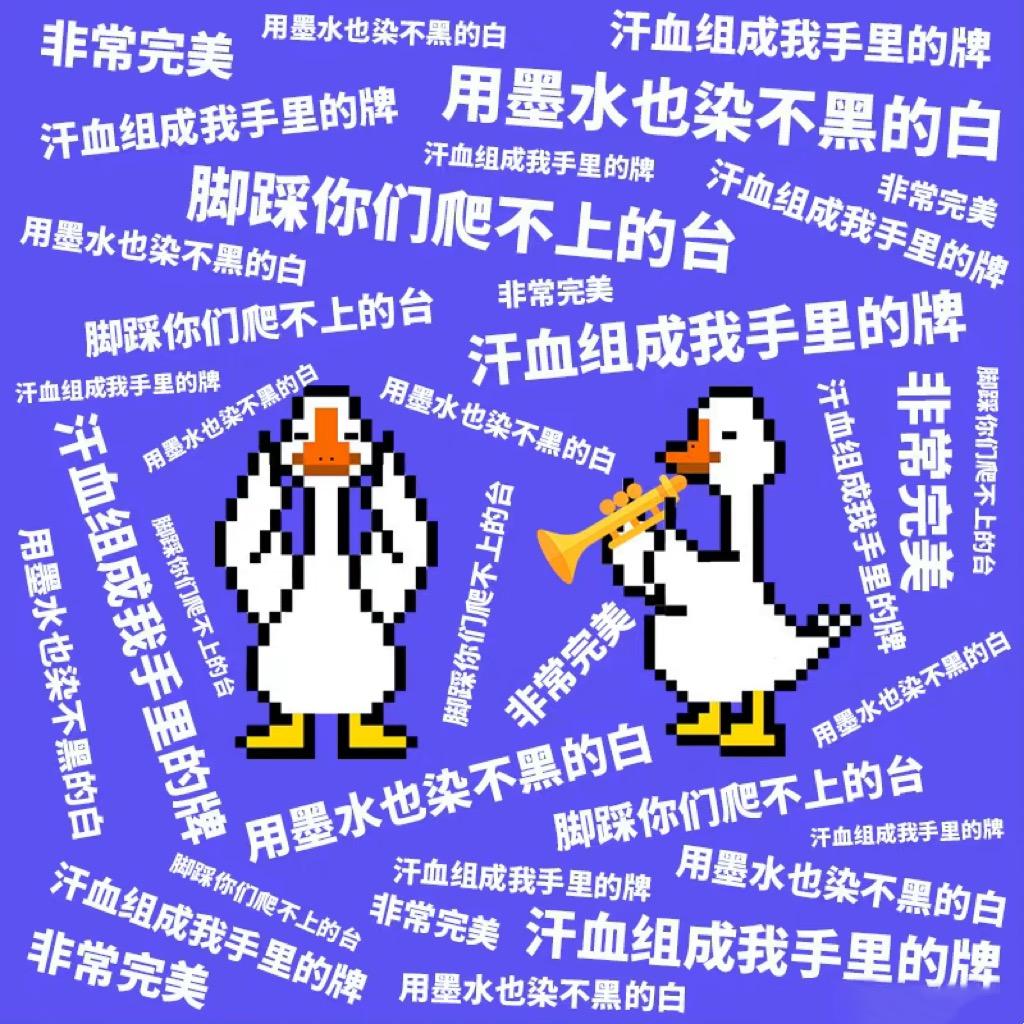 你看到我的鸭鸭了吗