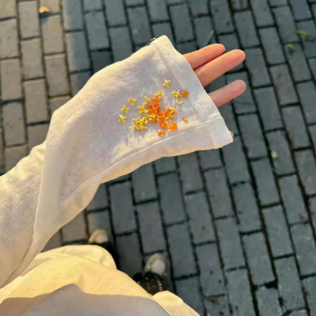 财神爷的心尖尖