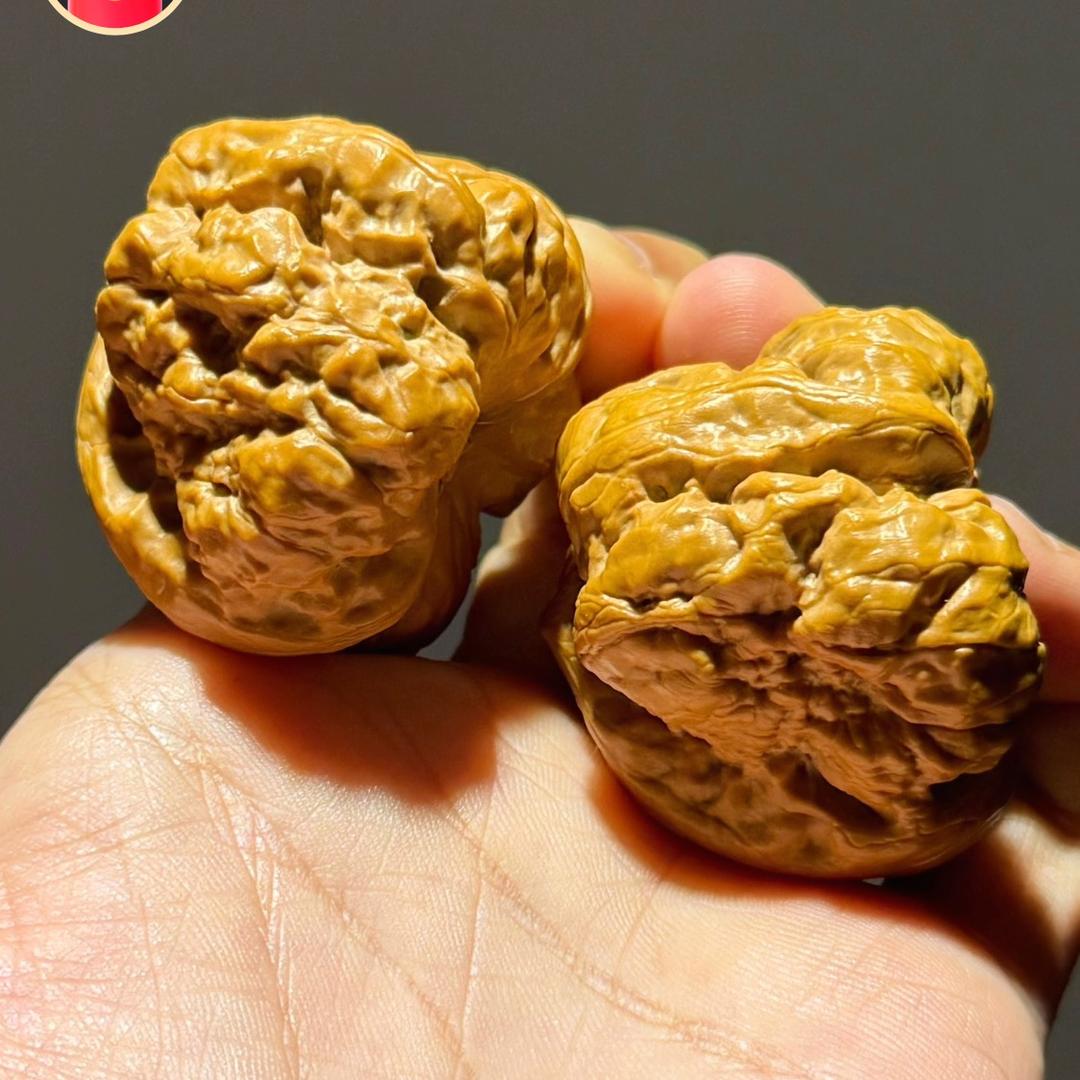 🌈🌈🌈🌈🌈🌈八方