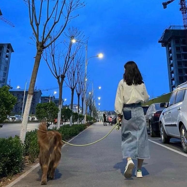 人间小甜瓜🍈