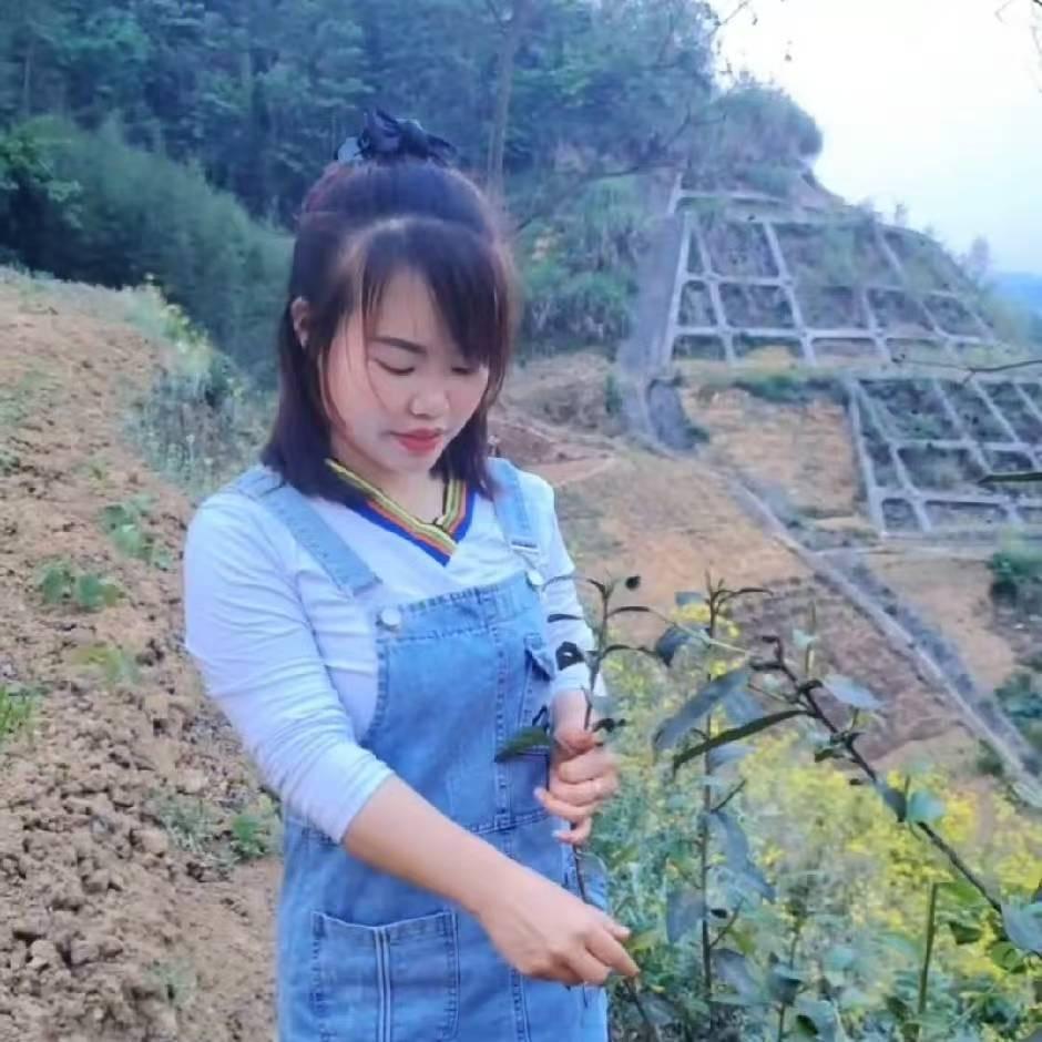 单身小敏(小号)