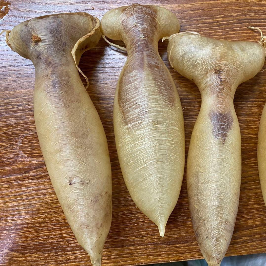 鱼胶批发滋补品