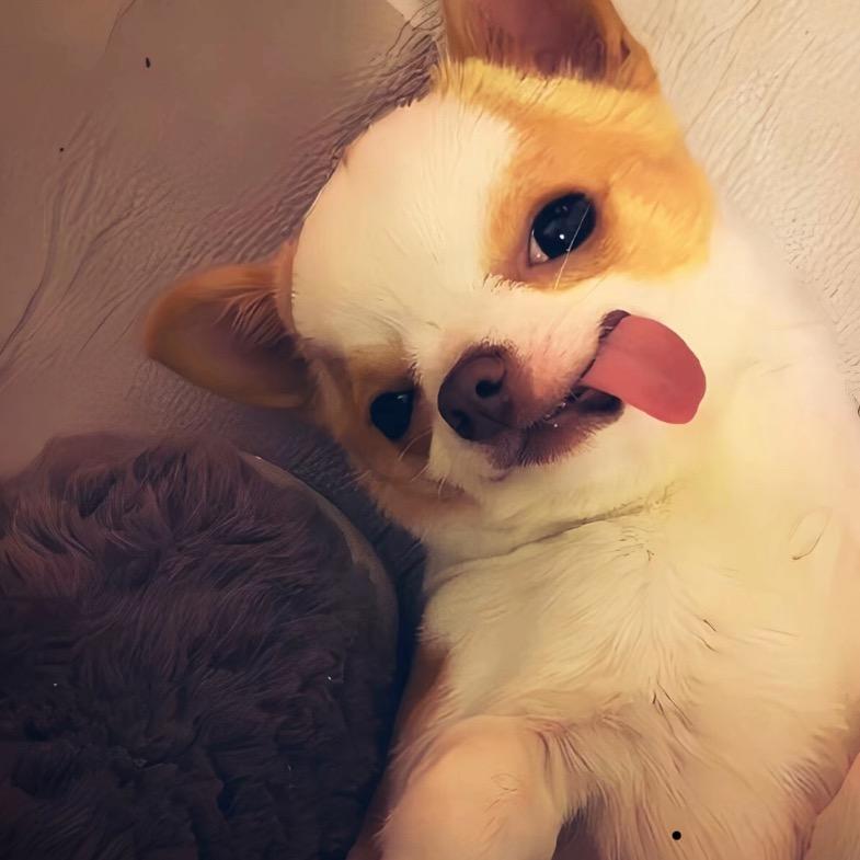 大闸蟹