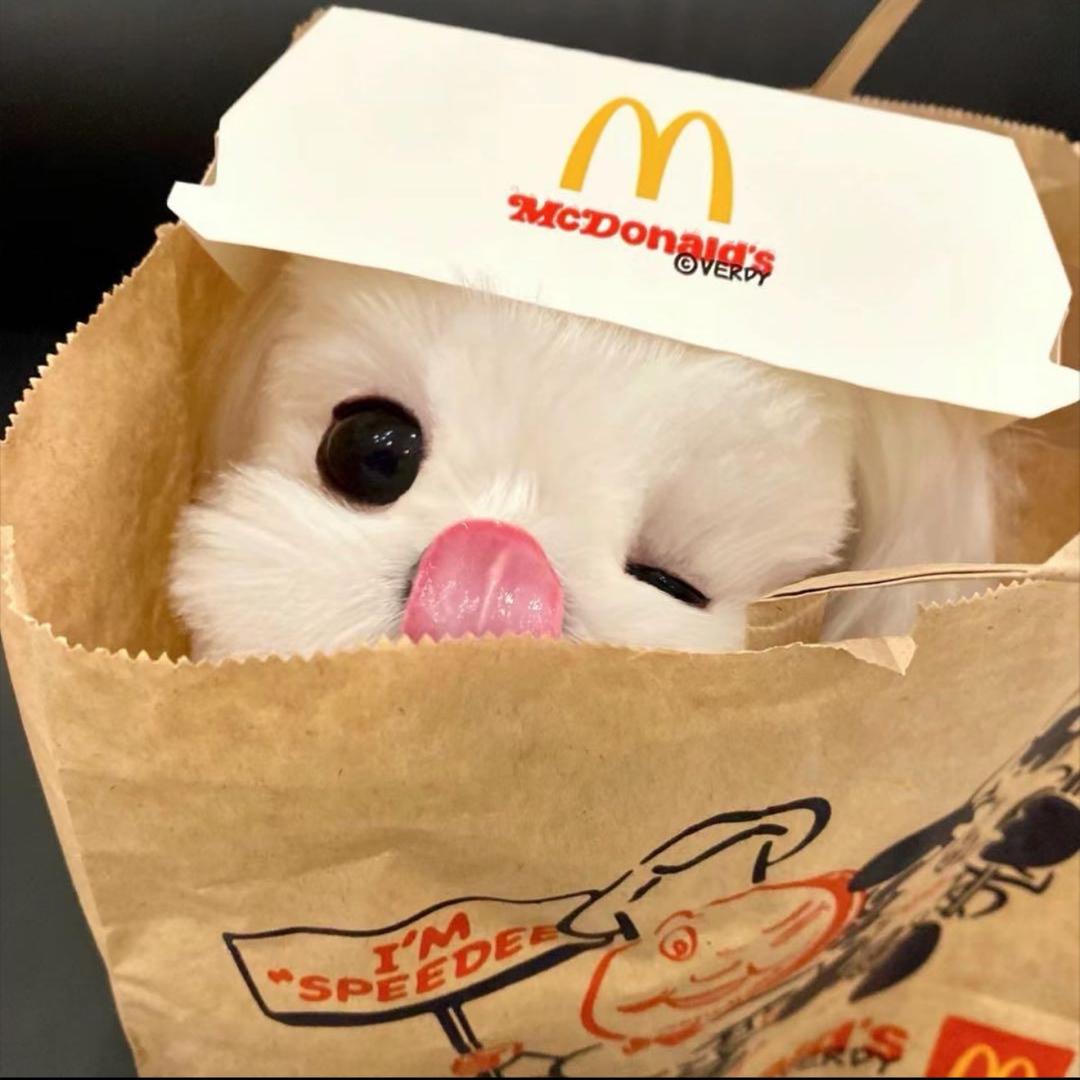 你怎么呆呆的
