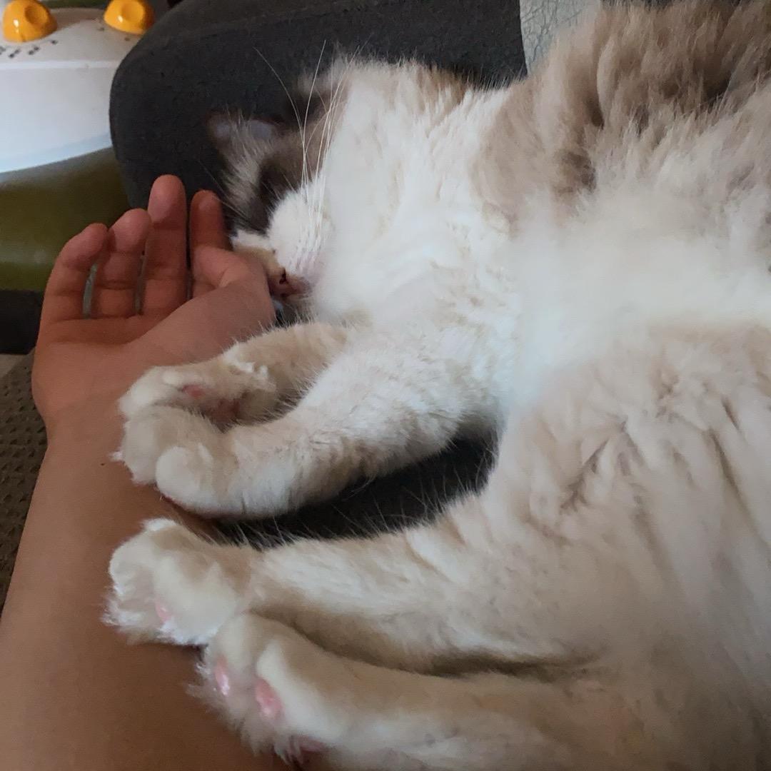 风吹草地现🐮🐑