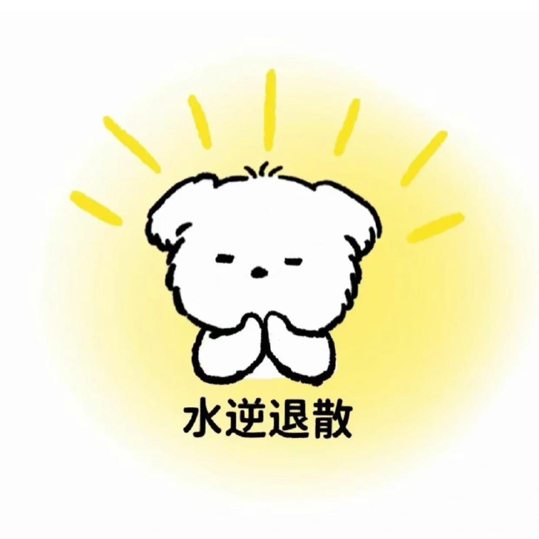 轮滑小乐